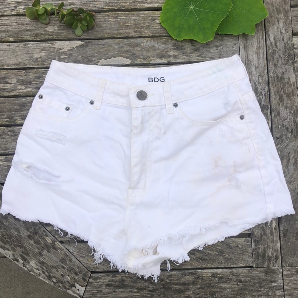 Urban Outfitters BDG shorts